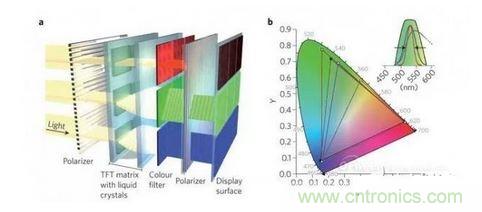  LCD顯示器示意圖。TFT表示薄膜晶體管（thin-film transistor）。