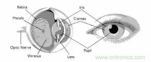 六種生物識(shí)別技術(shù)原理及優(yōu)缺點(diǎn)盤點(diǎn)