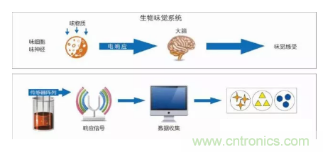 仿生傳感器的定義、原理、分類及應用